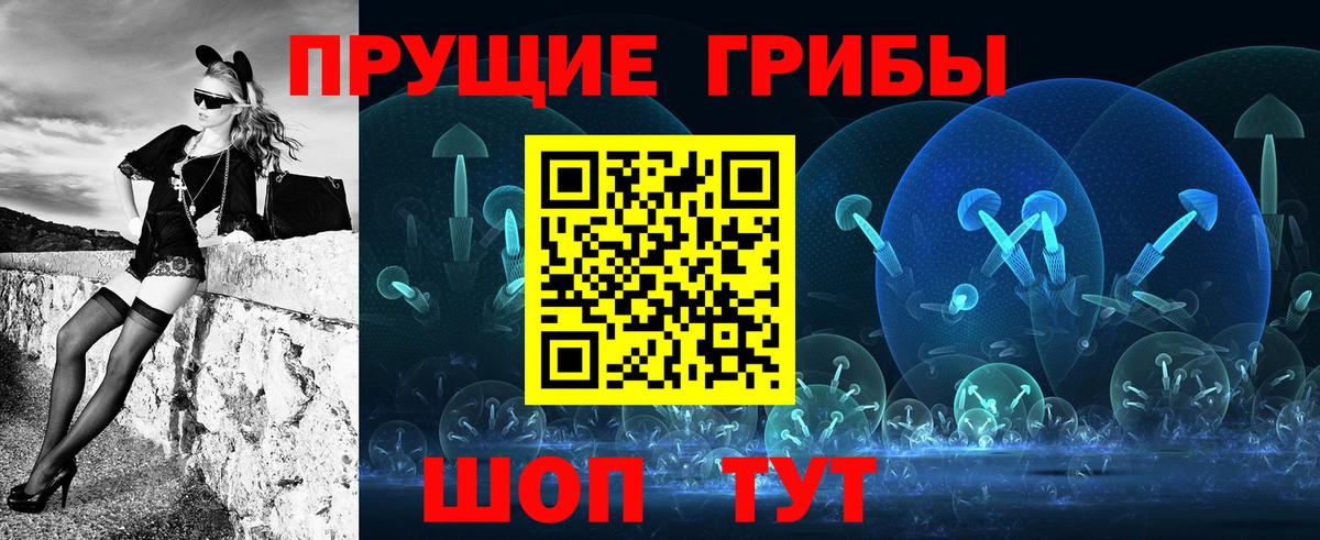Псилоцибиновые грибы Cubensis Будённовск