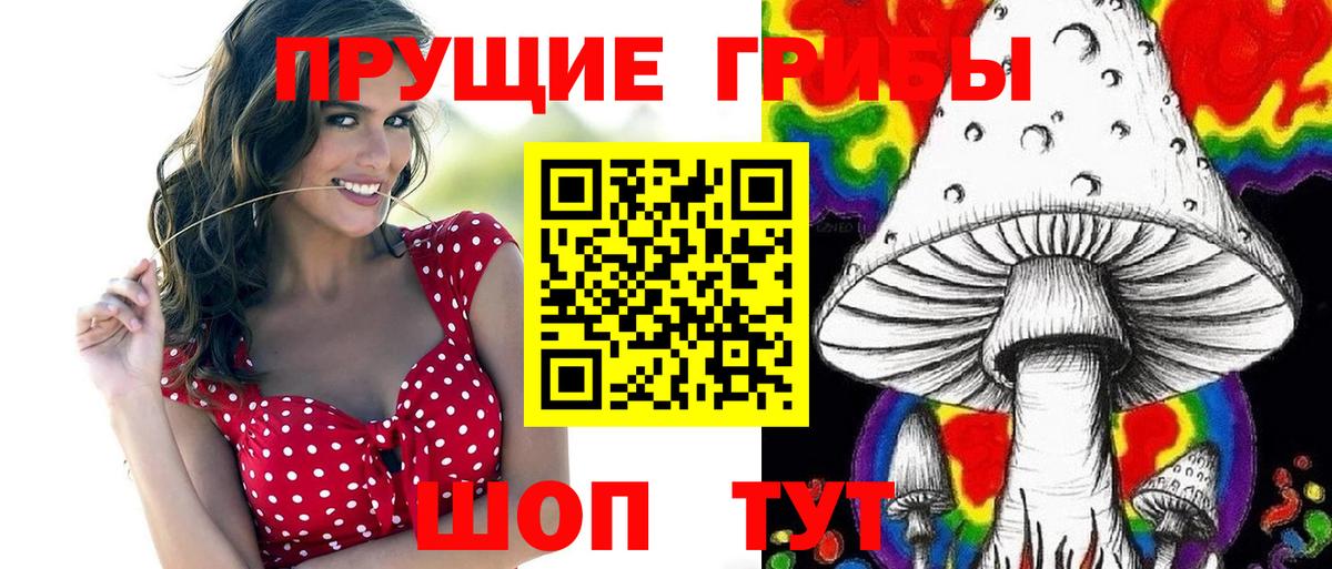 Будённовск  Псилоцибиновые грибы прущие грибы  Вход с VPN 